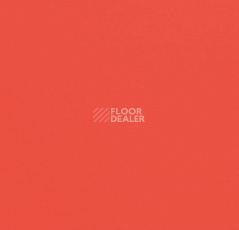 Линолеум Forbo Modul'up Compact Colour 876UP43C orange uni фото 1 | FLOORDEALER